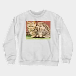 fli kitty Crewneck Sweatshirt